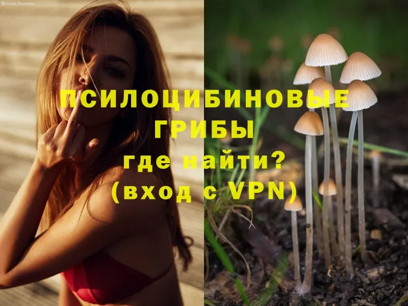 даркнет клад  Санкт-Петербург  Псилоцибиновые грибы Psilocybine cubensis 